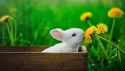 jiuyou游戏-切尔西防守球员完美执行战术，切尔西防守型中场