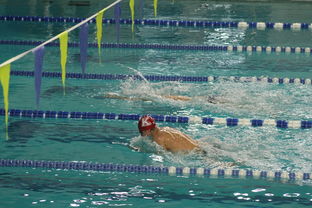 九游-全国公开水域游泳赛长江赛段人气爆棚