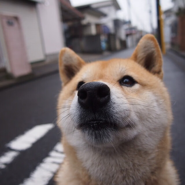 最新!欧洲联赛榜单排名大洗牌,欧洲各大联赛排行榜