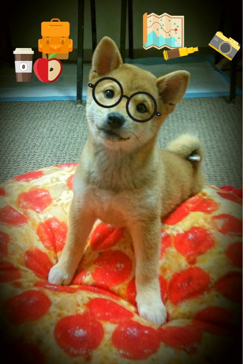 英超球队密集赛程下运动损伤风险预测模型构建研究,英超伤病报告_球员受伤成本逐年攀升