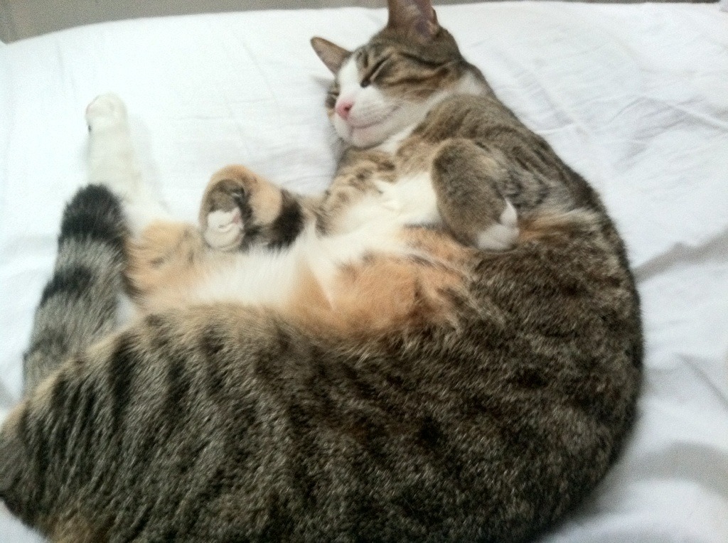 高校体育运动损伤预防教育体系研究,高中体育运动损伤及预防ppt