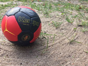 九游登录入口-“沙滩赛场燃爆天府新区，沙滩手球和合球上演极限对决”