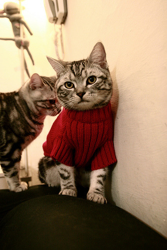 亚冠联赛中国女足惨败 球迷呼吁强化训练，中国女足亚运赛程