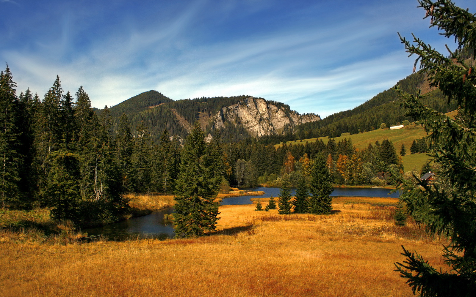 体育纪录片聚焦幕后人物打动人心，体育纪录片主题
