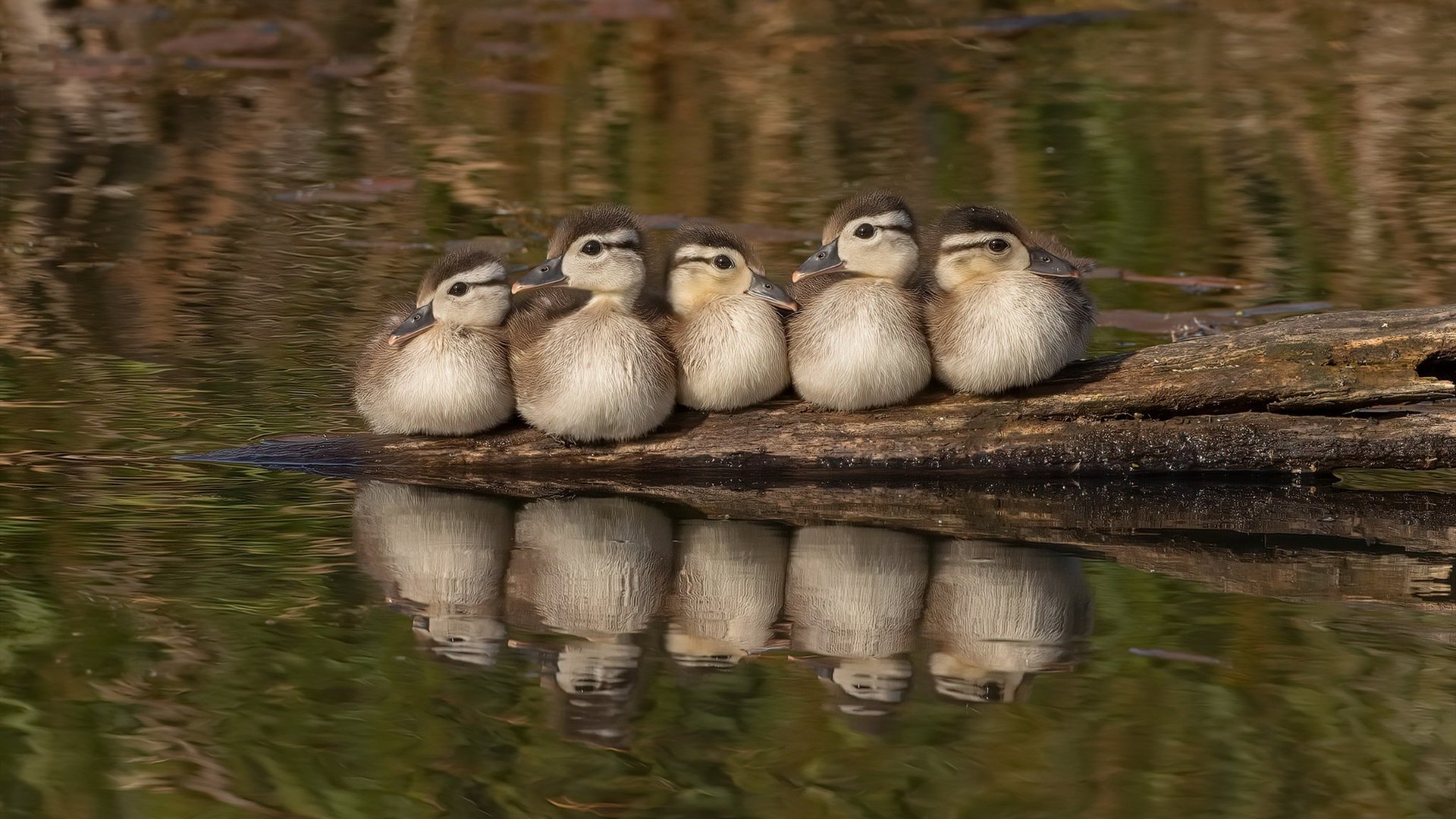 博卡进攻效率低下,错失破门机会,博卡啥意思