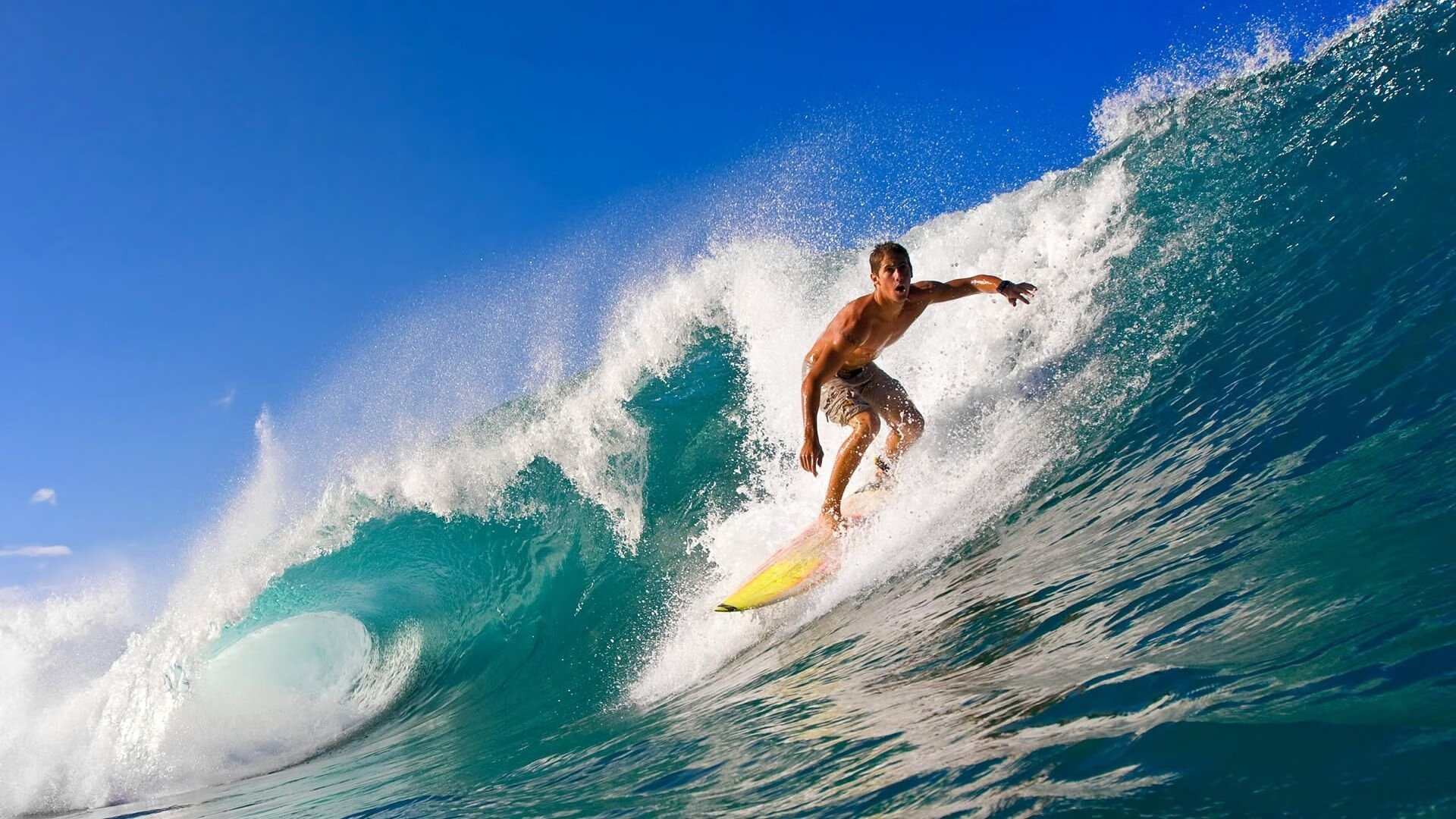 世界极限飞盘巡回赛,团队合作的极致挑战,极限飞盘的比赛在国际上大的赛事