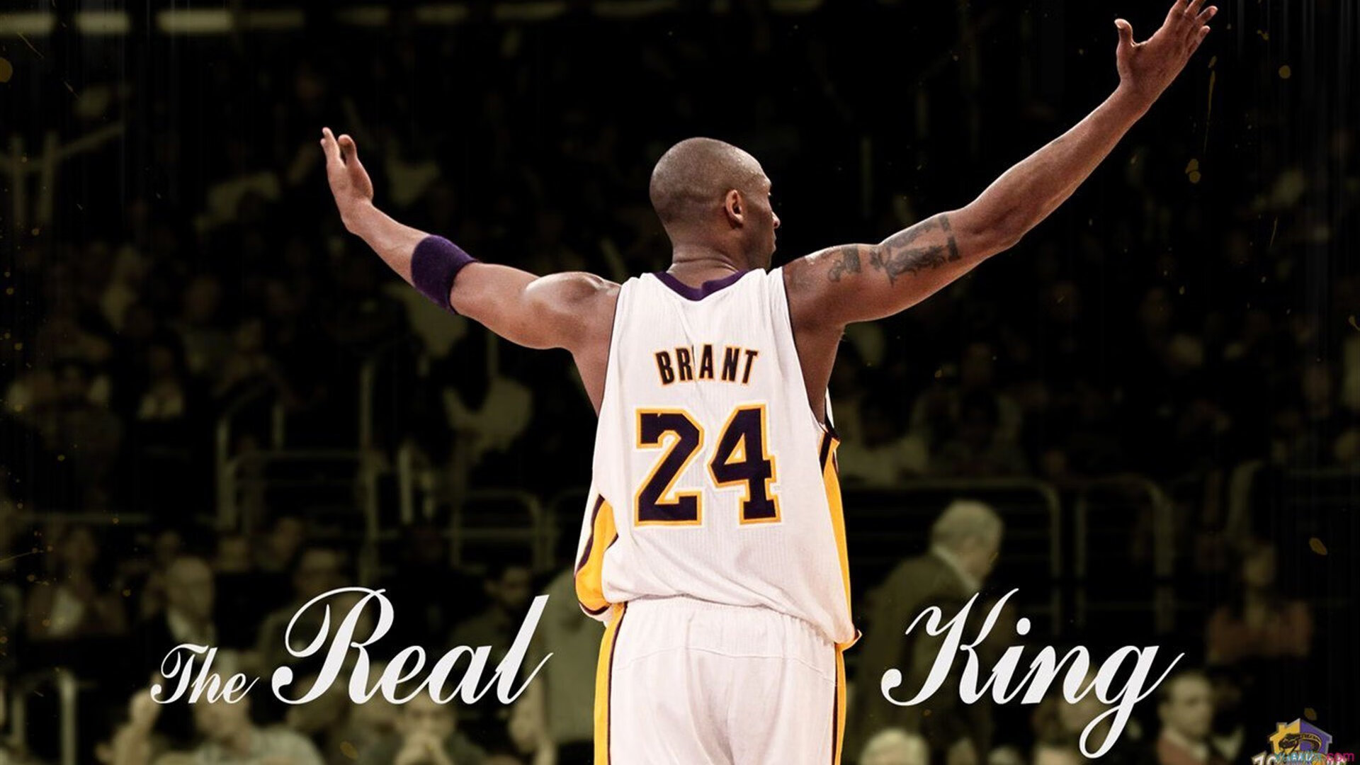 中国青少年篮球联赛直播平台用户数飙升，影响力增强，中国青少年篮球公开赛