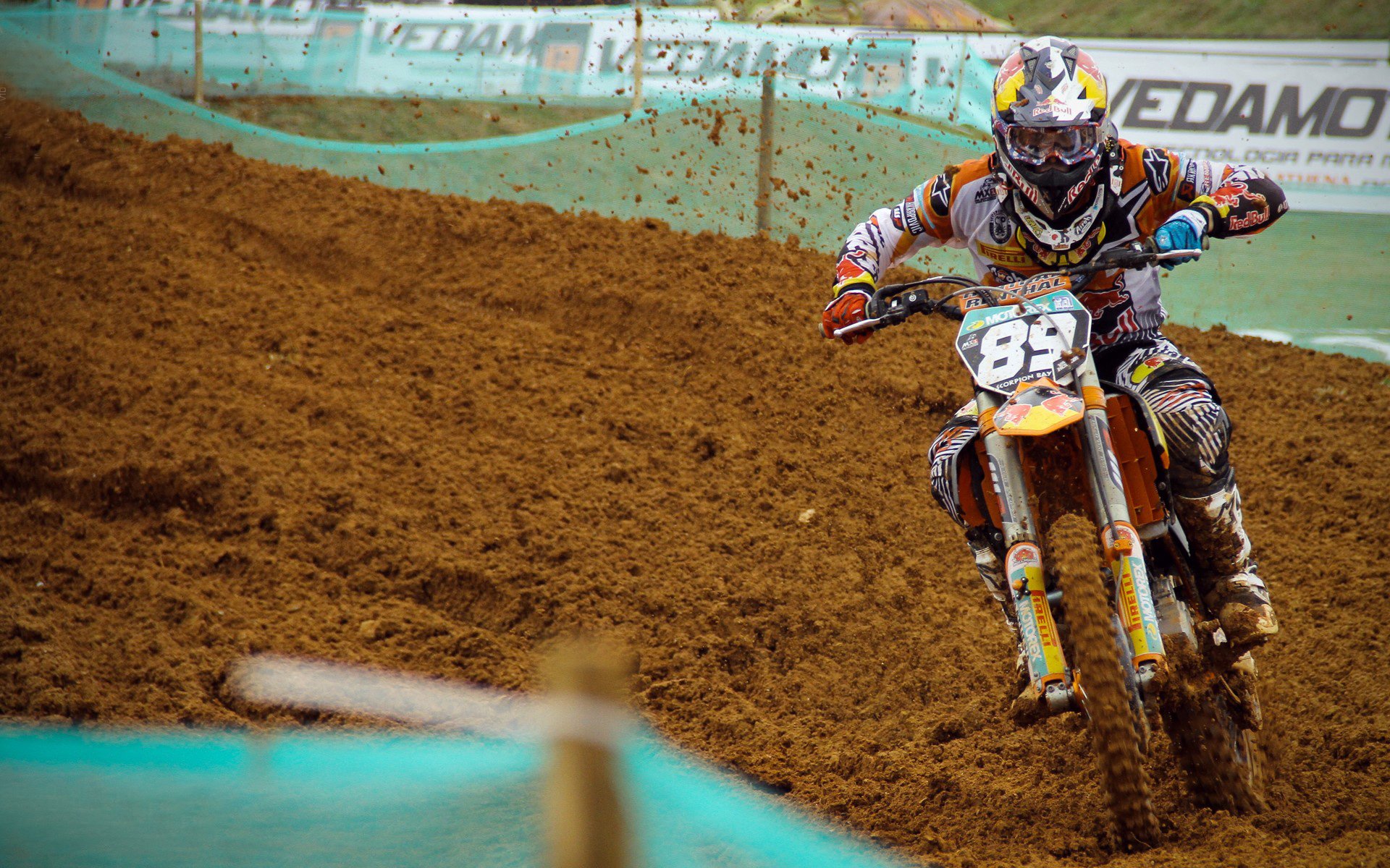 公牛主帅参加人工智能与体育高峰论坛,公牛队创始人